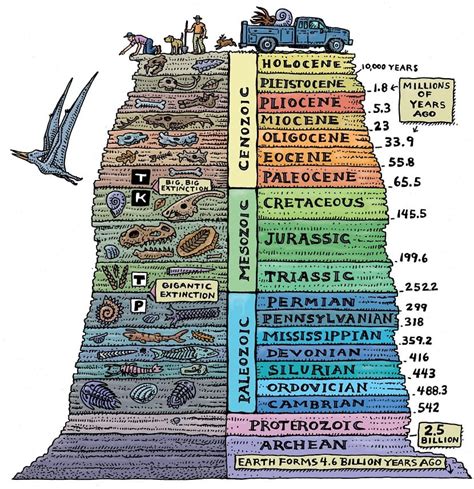 edades de la tierra|Cómo se divide el tiempo geológico: tabla de períodos。